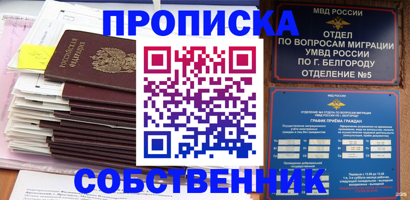 прописка законно в Жукове